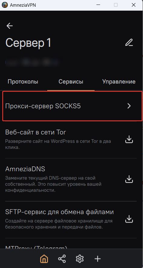 Настройка SOCKS5 в Amnezia